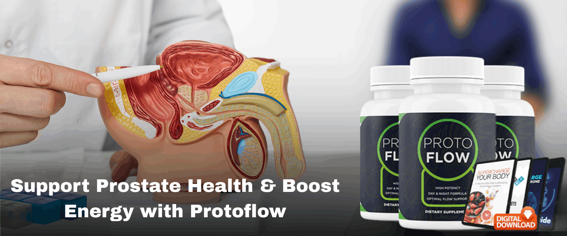 Protoflow Official Website